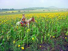 Mexico-Central Mexico-Colores de Mexico Ride